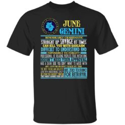 Gemini Facts Shirt Funny June Gemini Birthday Gift T-Shirt